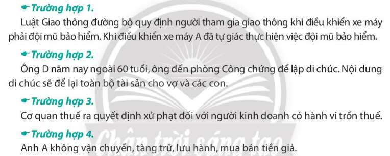 Pháp luật 10 Bài 19: Thực hiện pháp luật | Chân trời sáng tạo (ảnh 3)