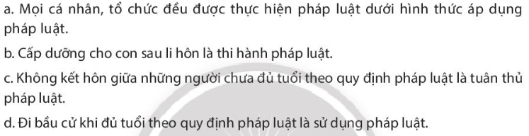 Pháp luật 10 Bài 19: Thực hiện pháp luật | Chân trời sáng tạo (ảnh 5)