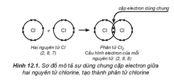 TOP 15 câu Trắc nghiệm Liên kết cộng hóa trị có đáp án - Hóa học lớp 10 Kết nối tri thức (ảnh 1)