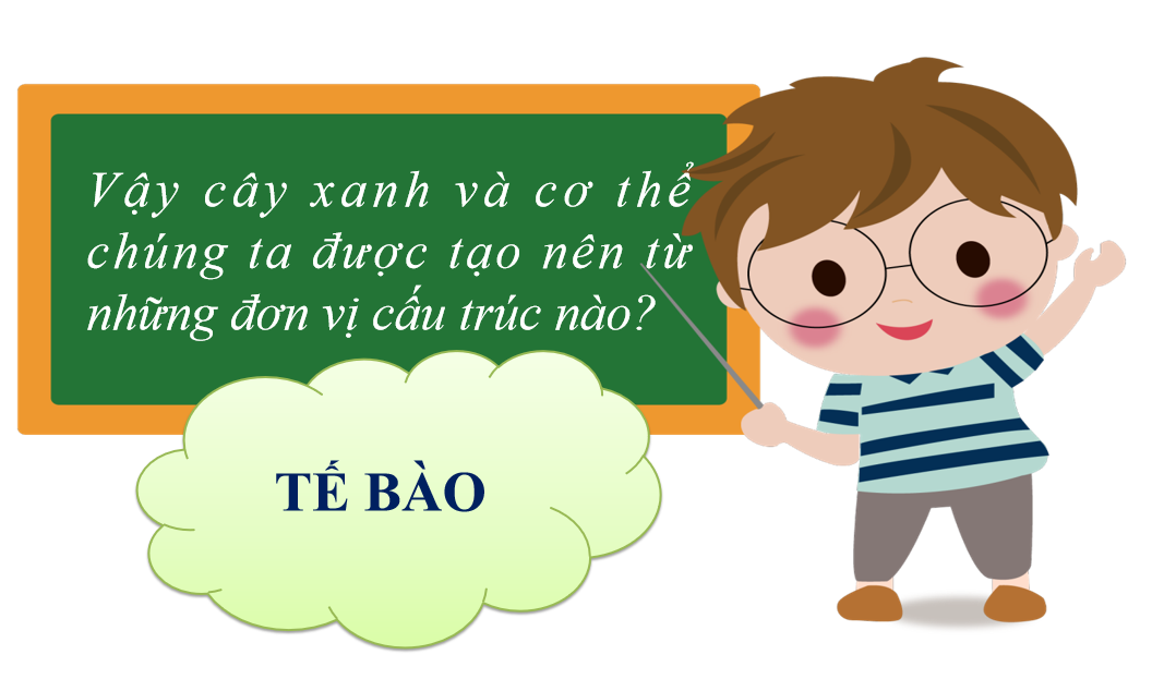 Giáo án điện tử Khái quát về tế bào | Bài giảng PPT Sinh học 10 (ảnh 1)