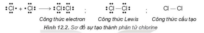 TOP 15 câu Trắc nghiệm Liên kết cộng hóa trị có đáp án - Hóa học lớp 10 Kết nối tri thức (ảnh 1)