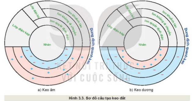 Lý thuyết Công Nghệ 10 Bài 3: Giới thiệu về đất trồng - Kết nối tri thức (ảnh 1)