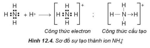 TOP 15 câu Trắc nghiệm Liên kết cộng hóa trị có đáp án - Hóa học lớp 10 Kết nối tri thức (ảnh 1)