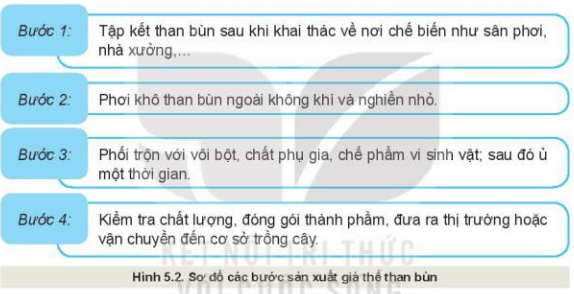 Lý thuyết Công Nghệ 10 Bài 5: Giá thể trồng cây - Kết nối tri thức (ảnh 1)