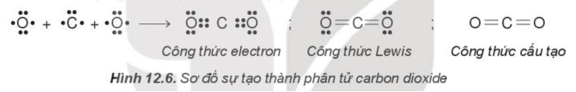 TOP 15 câu Trắc nghiệm Liên kết cộng hóa trị có đáp án - Hóa học lớp 10 Kết nối tri thức (ảnh 1)