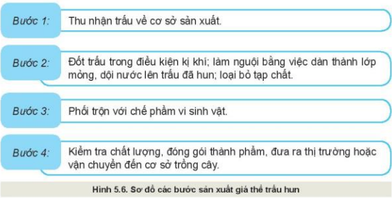 Lý thuyết Công Nghệ 10 Bài 5: Giá thể trồng cây - Kết nối tri thức (ảnh 1)