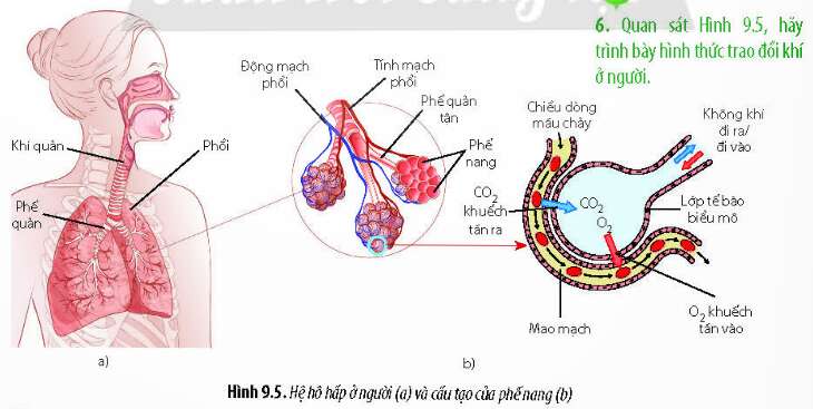  (ảnh 4)