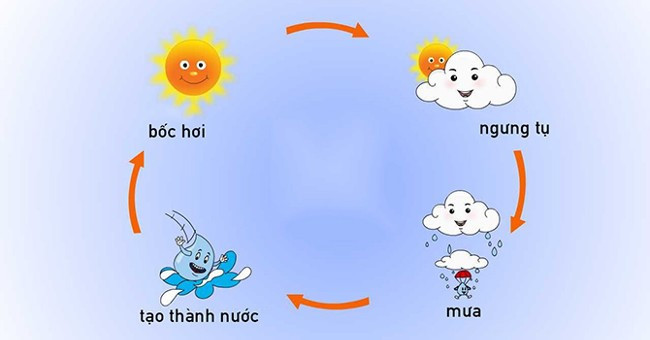 Lý thuyết Bài 10: Mưa - Chân trời sáng tạo (ảnh 1)