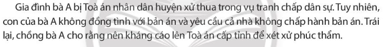 Pháp luật 10 Bài 15: Tòa án nhân dân và Viện kiểm sát nhân dân | Chân trời sáng tạo (ảnh 6)