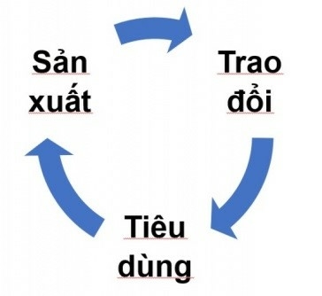 Kinh tế 10 Bài 1: Các hoạt động kinh tế trong đời sống xã hội | Cánh diều (ảnh 5)