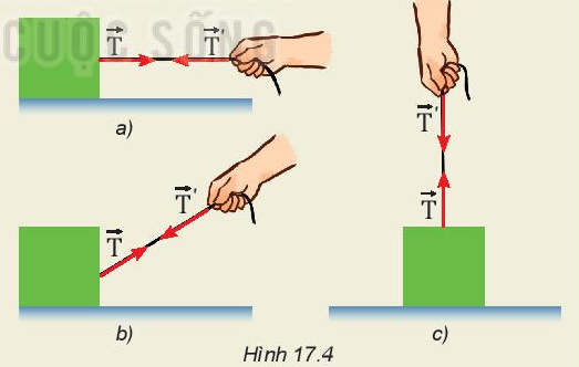 Vật Lí 10 Bài 17: Trọng lực và lực căng | Giải Lí 10 Kết nối tri thức (ảnh 5)