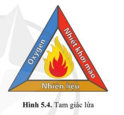 Chuyên đề Hóa 10 Bài 5: Sơ lược về phản ứng cháy và nổ - Cánh diều (ảnh 1)