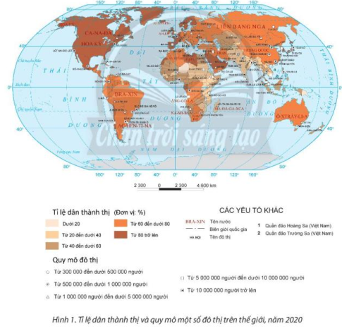 Chuyên đề Địa lí 10 Đô thị hoá ở các nước phát triển – Chân trời sáng tạo (ảnh 1)