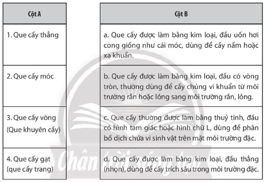 Giải Sách bài tập Sinh học 10 trang 69 - Chân trời sáng tạo (ảnh 1)