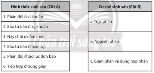 Giải Sách bài tập Sinh học 10 trang 75 - Chân trời sáng tạo (ảnh 1)