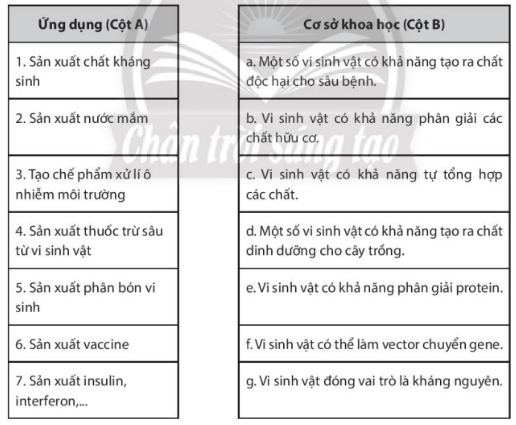 Giải Sách bài tập Sinh học 10 trang 82 - Chân trời sáng tạo (ảnh 1)