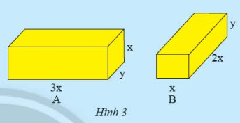 Toán 8 Bài 1 (Chân trời sáng tạo): Đơn thức và đa thức nhiều biến (ảnh 1)