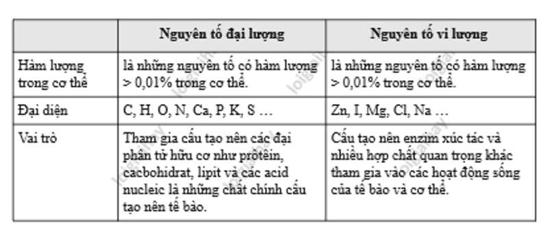 Lý thuyết Sinh học 10 Bài 5 (Cánh diều): Các nguyên tố hóa học và nước (ảnh 1)