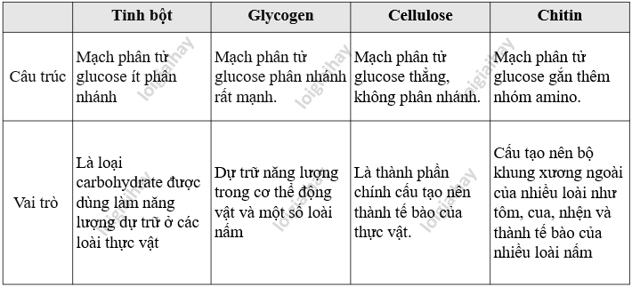 Lý thuyết Sinh học 10 Bài 5 (Kết nối tri thức): Các phân tử sinh học (ảnh 9)