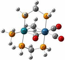 Lý thuyết Sinh học 10 Bài 5 (Kết nối tri thức): Các phân tử sinh học (ảnh 3)