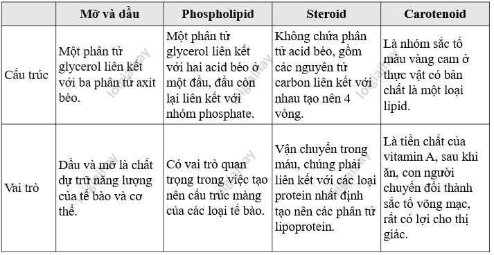 Lý thuyết Sinh học 10 Bài 5 (Kết nối tri thức): Các phân tử sinh học (ảnh 11)