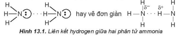 TOP 40 câu Trắc nghiệm Liên kết hydrogen và tương tác van der Waals có đáp án - Hóa học lớp 10 Kết nối tri thức (ảnh 1)