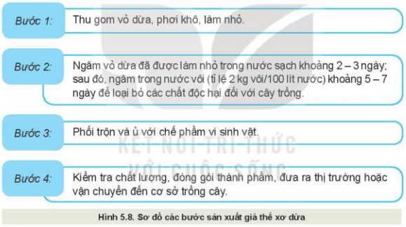 Lý thuyết Công Nghệ 10 Bài 5: Giá thể trồng cây - Kết nối tri thức (ảnh 1)