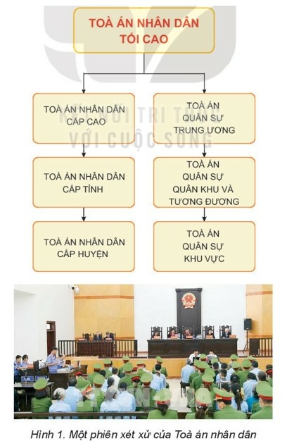 Pháp luật 10 Bài 22: Tòa án nhân dân và Viện kiểm sát nhân dân | Kết nối tri thức (ảnh 2)