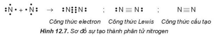 TOP 15 câu Trắc nghiệm Ôn tập chương 3 có đáp án - Hóa học lớp 10 Kết nối tri thức (ảnh 1)