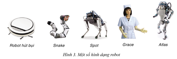 Chuyên đề Tin học 10 Bài 1: Robot - Cánh diều (ảnh 1)