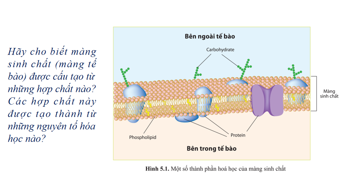 Giáo án điện tử Các nguyên tố hóa học và nước | Bài giảng PPT Sinh học 10 (ảnh 1)