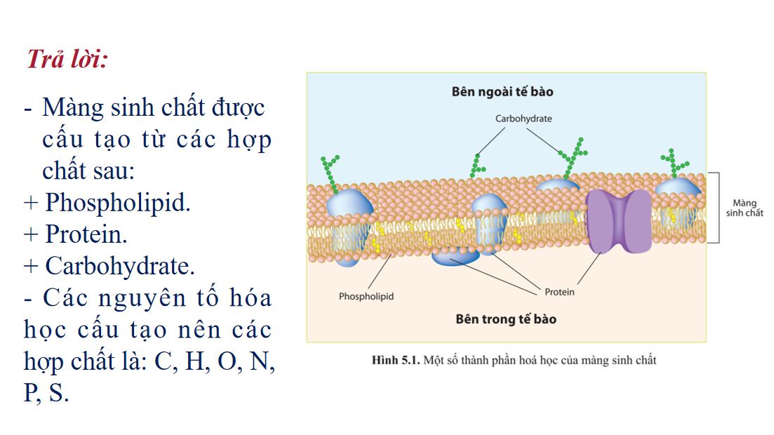 Giáo án điện tử Các nguyên tố hóa học và nước | Bài giảng PPT Sinh học 10 (ảnh 1)