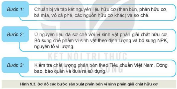 Lý thuyết Công Nghệ 10 Bài 9: Ứng dụng công nghệ vi sinh trong sản xuất phân bón - Kết nối tri thức (ảnh 1)