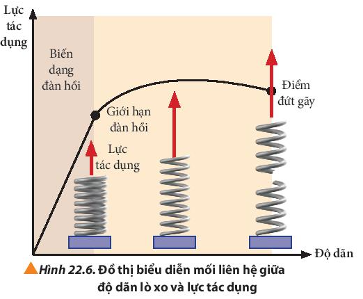 Vật Lí 10 Bài 22: Biến dạng của vật rắn. Đặc tính của lò xo | Giải Lí 10 Chân trời sáng tạo (ảnh 4)