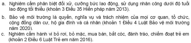 Pháp luật 10 Bài 11: Khái niệm, đặc điểm và vai trò của pháp luật | Kết nối tri thức (ảnh 6)