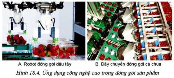 Công nghệ 10 Bài 18: Ứng dụng công nghệ cao trong thu hoạch, bảo quản và chế biến sản phẩm trồng trọt | Cánh diều (ảnh 2)