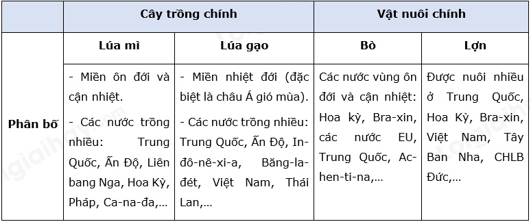 Địa Lí 10 Bài 28: Thực hành tìm hiểu sự phát triển và phân bố nông nghiệp, lâm nghiệp, thủy sản | Chân trời sáng tạo (ảnh 4)