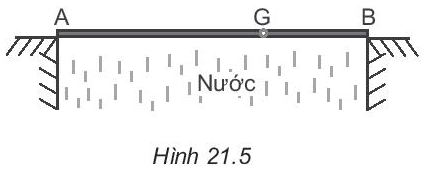 TOP 30 đề thi Học kì 1 Vật lí lớp 10 Cánh diều (4 đề có đáp án + ma trận) (ảnh 1)