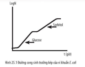 Giải Sách bài tập Sinh học 10 trang 76 - Chân trời sáng tạo (ảnh 1)