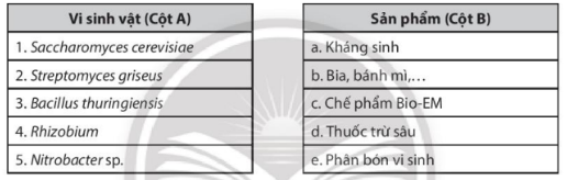 Giải Sách bài tập Sinh học 10 trang 79 - Chân trời sáng tạo (ảnh 1)