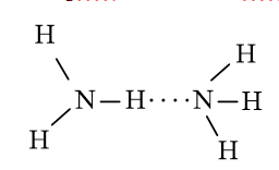 Sách bài tập Hóa học 10 Bài 13 (Kết nối tri thức): Liên kết hydrogen và tương tác van der Waals  (ảnh 1)