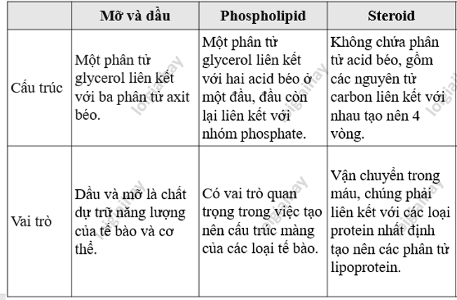 Lý thuyết Sinh học 10 Bài 6 (Cánh diều): Các phân tử sinh học (ảnh 15)