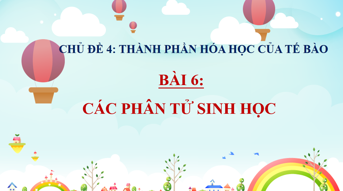 Giáo án điện tử Các phân tử sinh học | Bài giảng PPT Sinh học 10 (ảnh 1)