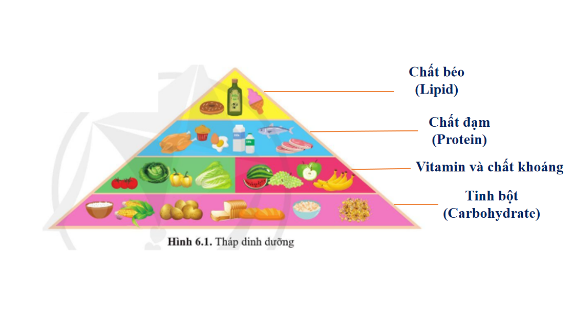 Giáo án điện tử Các phân tử sinh học | Bài giảng PPT Sinh học 10 (ảnh 1)