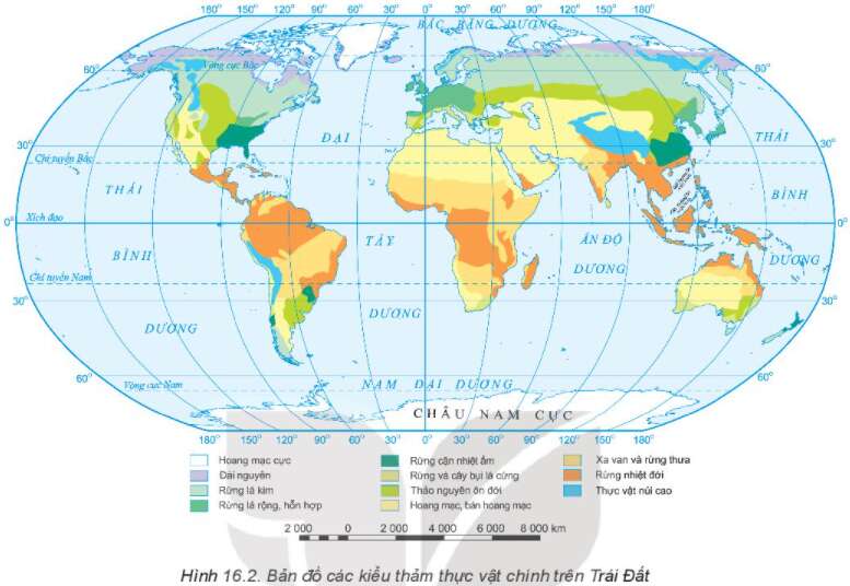 Địa lí 10 Bài 16: Thực hành: Tìm hiểu sự phân bố đất và sinh vật trên Trái Đất | Kết nối tri thức (ảnh 2)