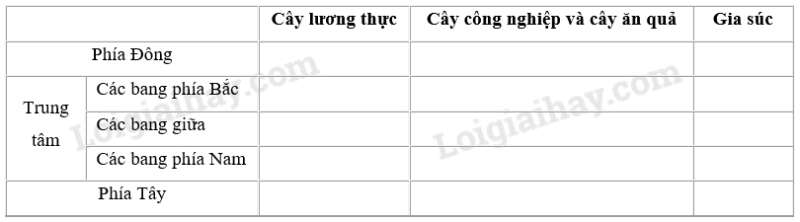 SBT Địa lí 11 Bài 6 Tiết 3: Thực hành: Tìm hiểu sự phân hóa lãnh thổ sản xuất của Hoa Kì | Giải SBT Địa lí lớp 11 (ảnh 1)