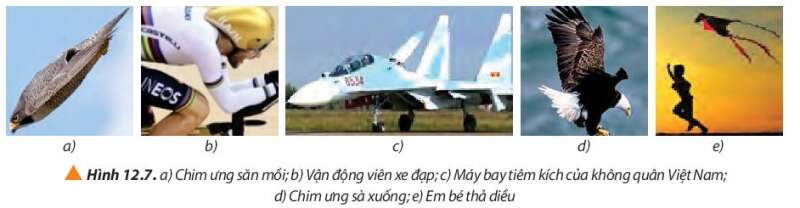 Vật Lí 10 Bài 12: Chuyển động của vật trong chất lưu | Giải Lí 10 Chân trời sáng tạo (ảnh 7)