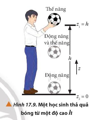 Vật Lí 10 Bài 17: Động năng và thế năng. Định luật bảo toàn cơ năng | Giải Lí 10 Chân trời sáng tạo (ảnh 7)