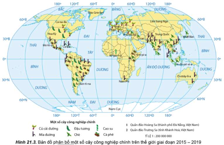 Địa Lí 10 Bài 21: Địa lí các ngành nông nghiệp, lâm nghiệp, thuỷ sản | Cánh diều (ảnh 2)