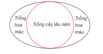 Bộ 30 đề thi Giữa học kì 2 Toán lớp 10 Chân trời sáng tạo có đáp án (ảnh 1)